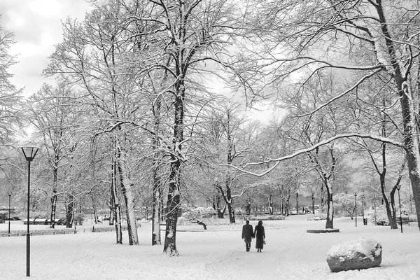 Zima w parku miejskim. Para w winter park. — Zdjęcie stockowe