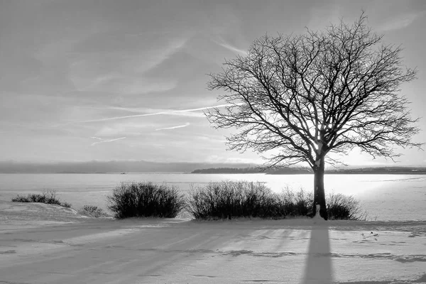 Winterlandschaft mit feurigem Himmel bei Sonnenuntergang. Zusammensetzung der Natur. — Stockfoto