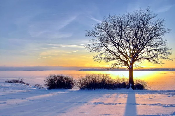 Winterlandschap met zonsondergang hemel. samenstelling van de natuur. — Stockfoto