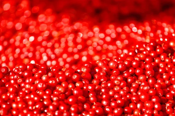Cranberries red abstract natura full frame background — Stock Photo, Image
