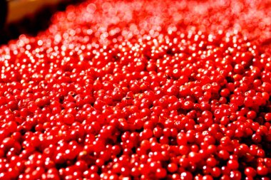 Kızılcık kırmızı soyut doğal tam çerçeve arka plan