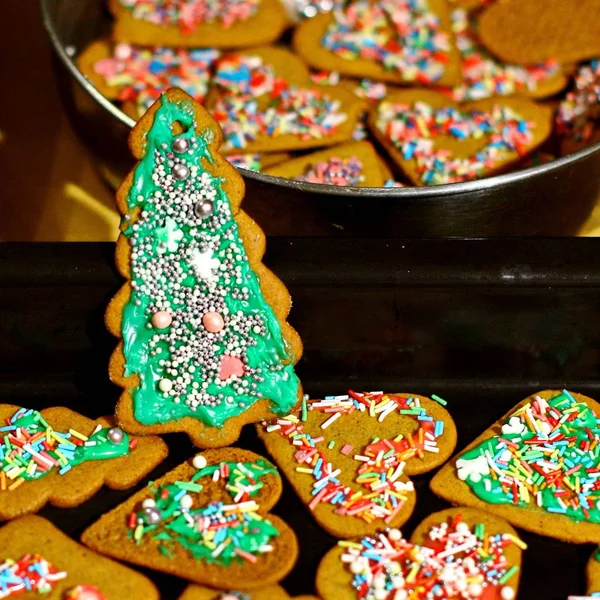 Hemlagade pepparkakor i bakning rätter — Stockfoto