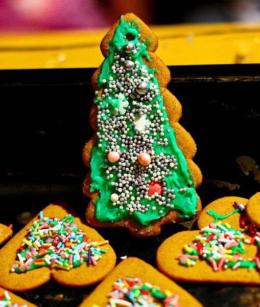 自制圣诞饼干烘焙盘 — 图库照片