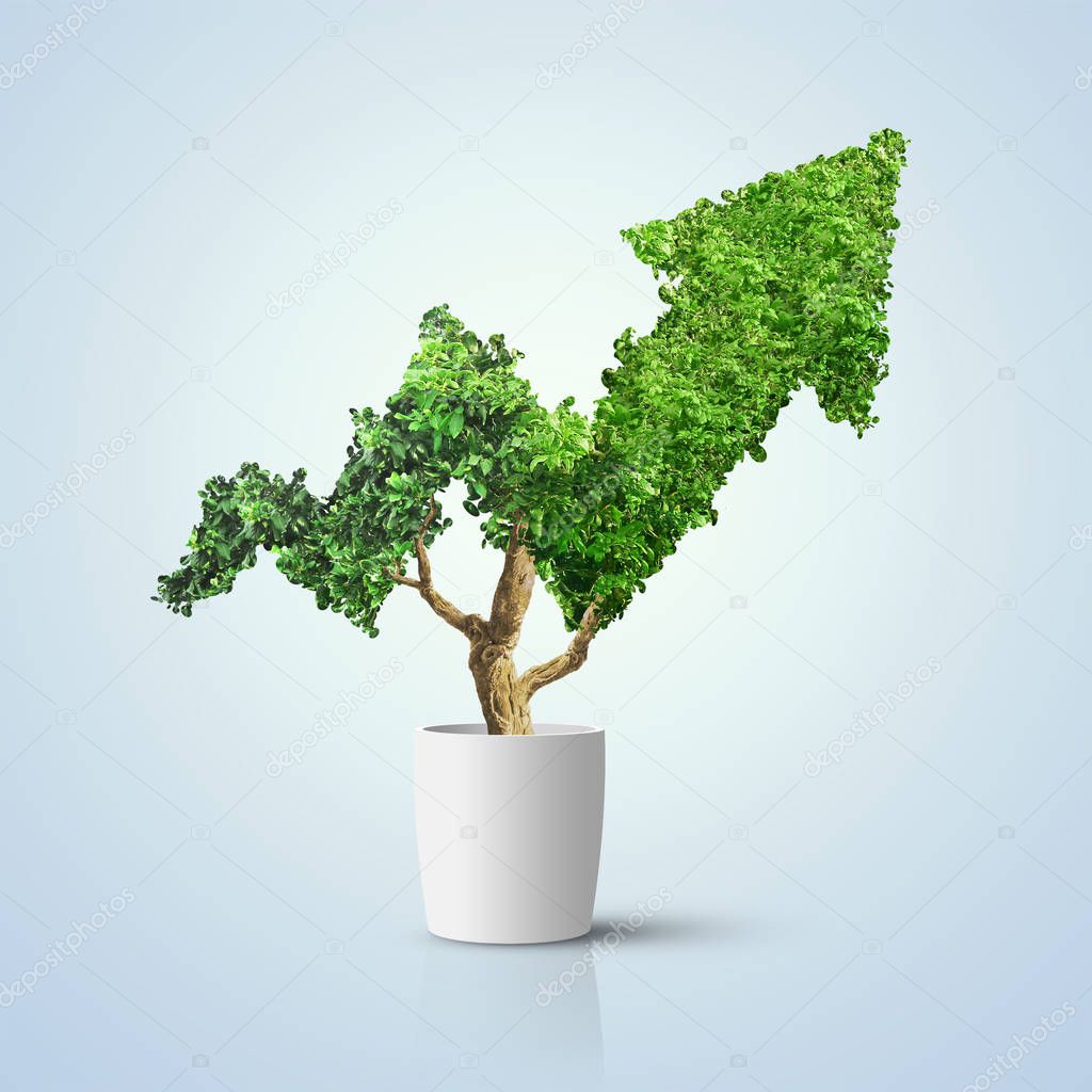 Tree grows up in arrow shape over blue background. Concept business image