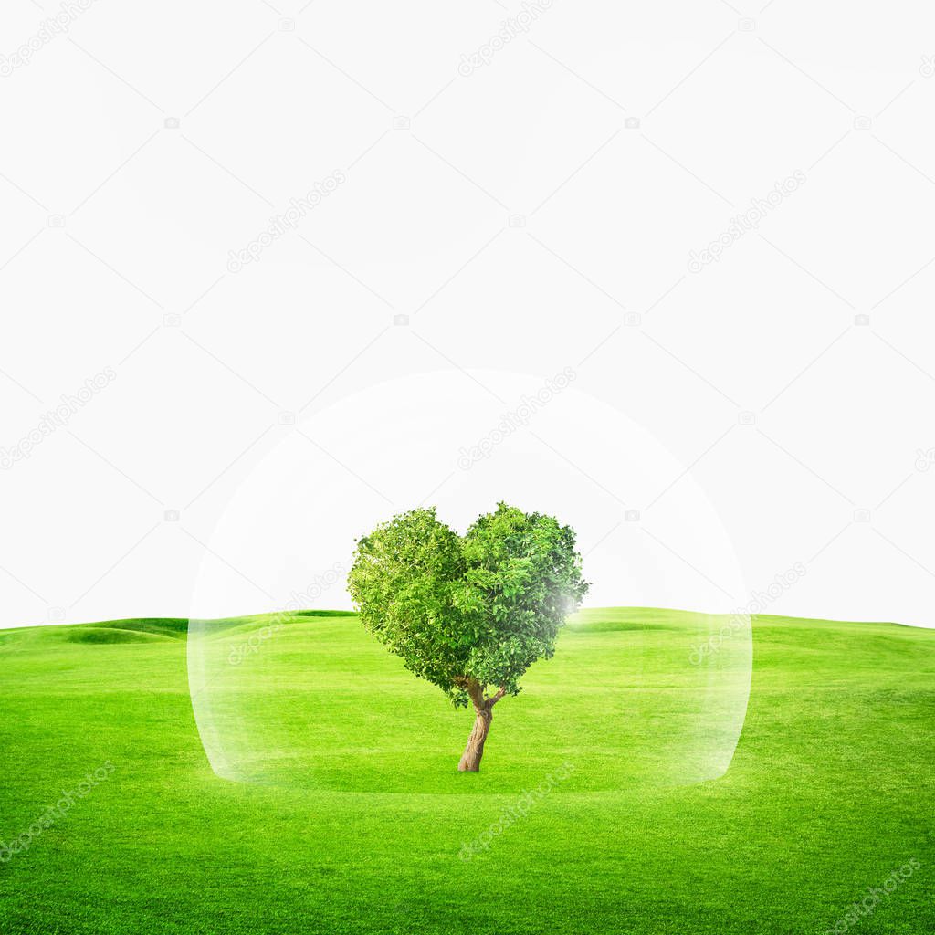 Heart shaped tree under glass protection. Concept abstract image