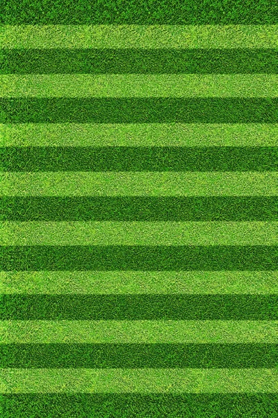 Green football field background. Top view