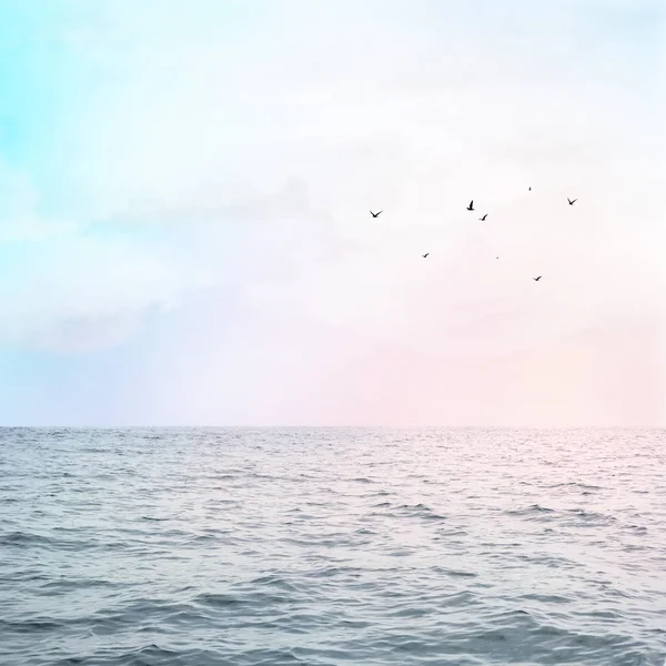 Морські Хвилі Судовий Схід Сонця Літаючими Птахами — стокове фото
