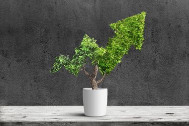 Saksılı bitki yeşil ok şeklinde koyu arka plan üzerinde büyür. Kavram İşletme resmi