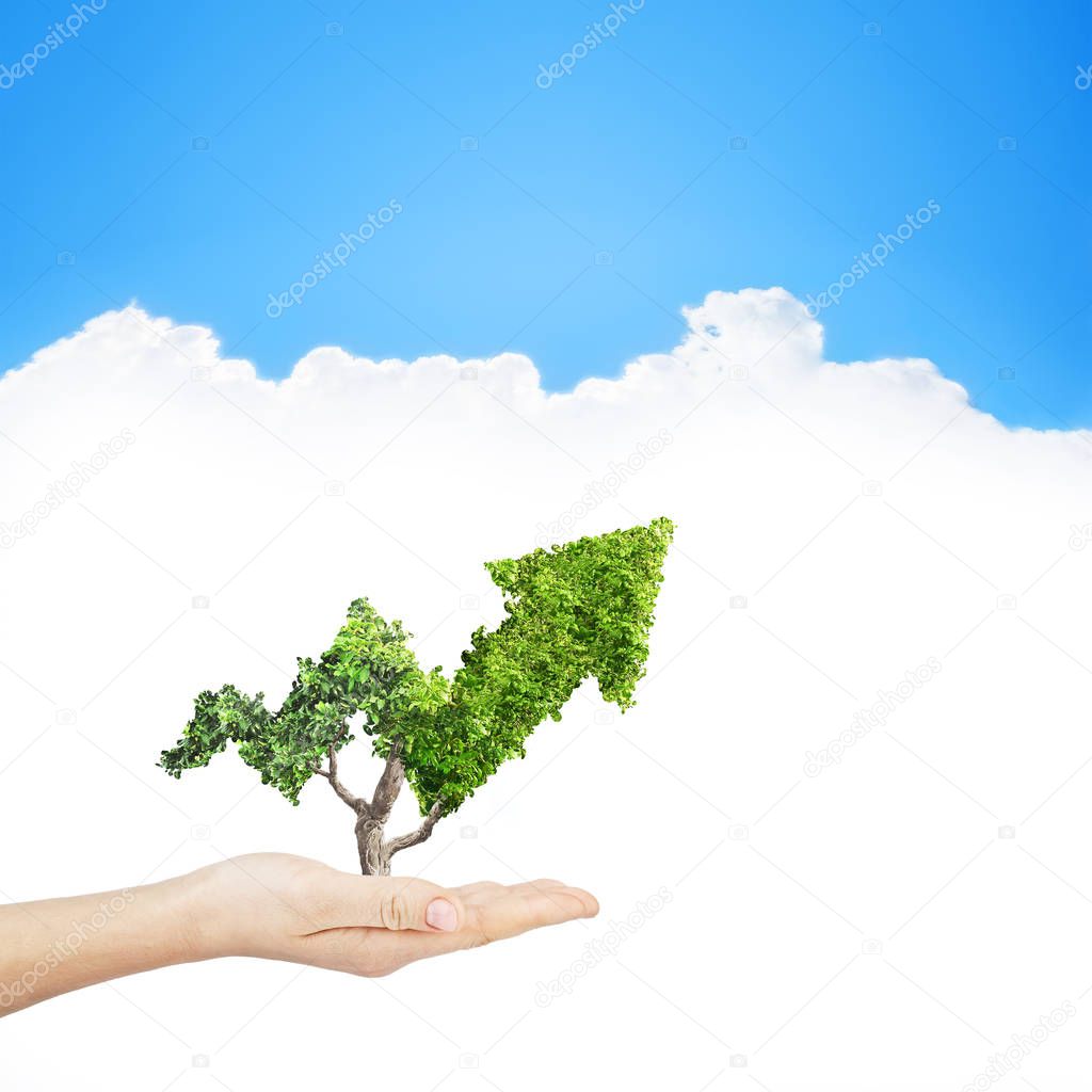 Green plant grows up in arrow shape in hand over sky background. Concept business image
