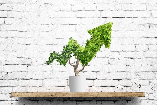 Potted Green Plant Grows Arrow Shape Brick Wall Background Concept — Stock Photo, Image