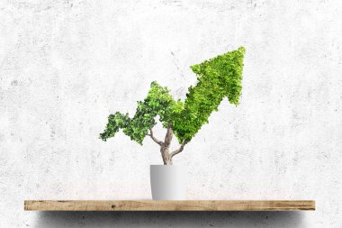 Saksılı bitki yeşil ok şeklinde beton duvar arka plan üzerinde büyür. Kavram İşletme resmi