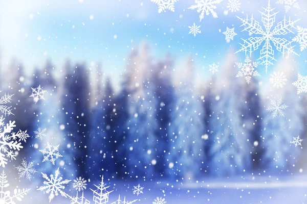 Mevsimlik Kış Kar Orman Kaplı Güzellik Doğa Arka Plan Noel — Stok fotoğraf