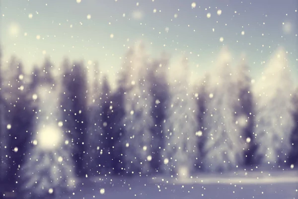 Blured Zimní Zasněžené Lesní Krása Přírody Pozadí Vánoční Pohlednice Dovolené — Stock fotografie