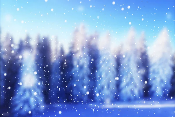 Blured Télen Hóval Borított Erdő Kozmetikai Jellegű Háttér Karácsonyi Üdvözlőlap — Stock Fotó