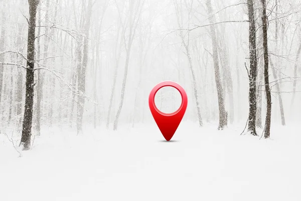 Straße Winter Schneebedeckter Wald Mit Roter Stecknadel — Stockfoto