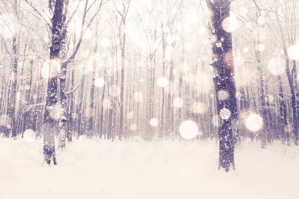 Bosque Cubierto Nieve Invierno Belleza Naturaleza Fondo — Foto de Stock