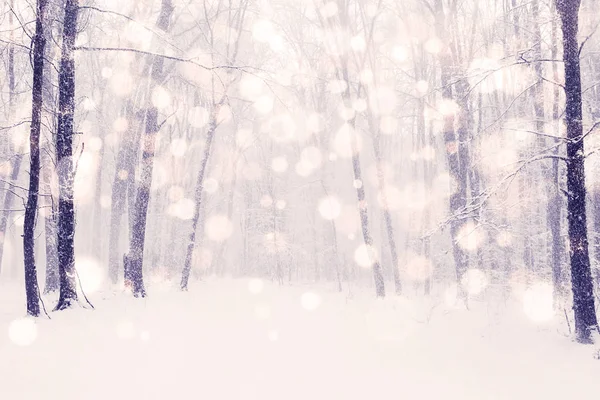 冬の雪に覆われた森 美しさ 自然の背景 — ストック写真