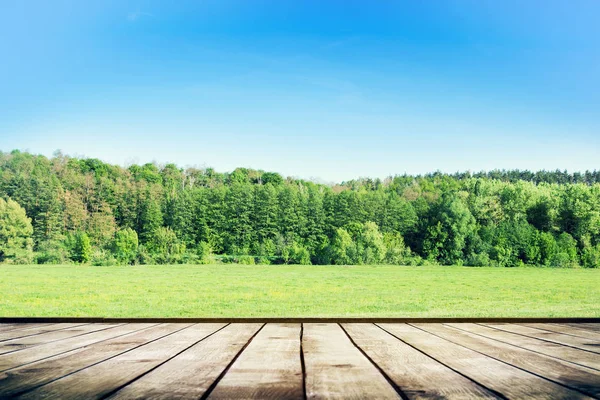 Campo Verde Bajo Cielo Azul Piso Tablones Madera Belleza Naturaleza — Foto de Stock