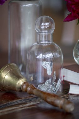 Şakayık çiçekleri ve canlı kelebekler bir şişe ile natürmort. Beyaz Kelebekler ve evin verandada masada peonies ile Retro natürmort