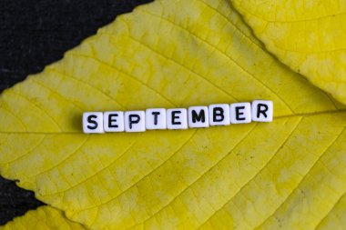 ahşap sarı sayfadaki beyaz küpleri yazıt Eylül