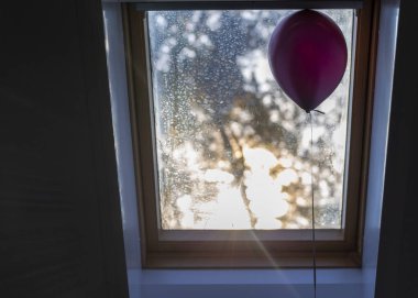 topu camdan dışarı uçmak istiyor. yalnızlık kilitli, güneşe doğru yükselmeye arzu