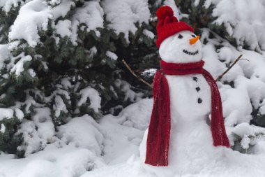 Ağacın yanındaki Noel giysileri ormandaki kardan adam