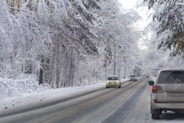 karla kaplı yolda kış orman