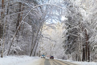 karla kaplı yolda kış orman