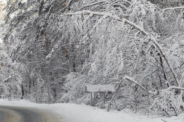 Strada Innevata Nella Foresta Invernale — Foto Stock