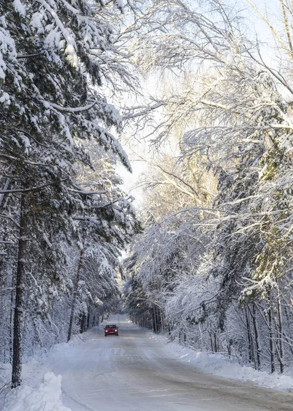 Strada Innevata Nella Foresta Invernale — Foto Stock