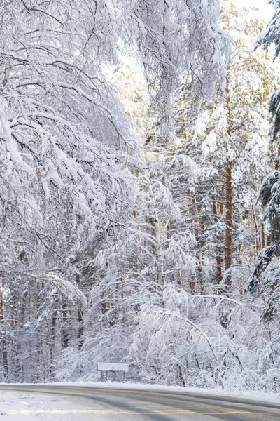 Strada Innevata Nella Foresta Invernale — Foto Stock