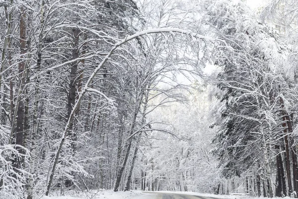 Strada Innevata Nella Foresta Invernale — Foto Stock