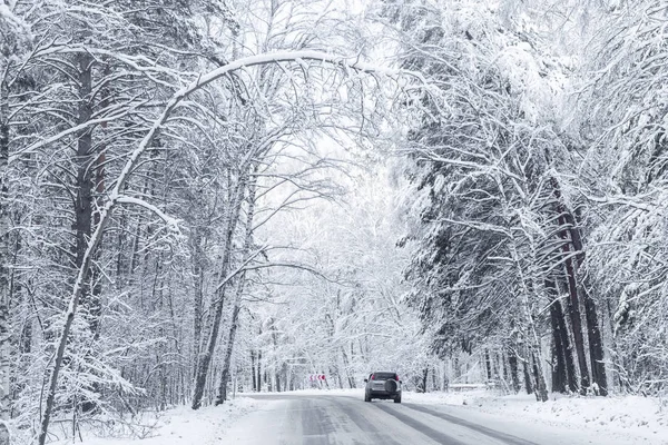 Strada Innevata Nella Foresta Invernale — Foto Stock