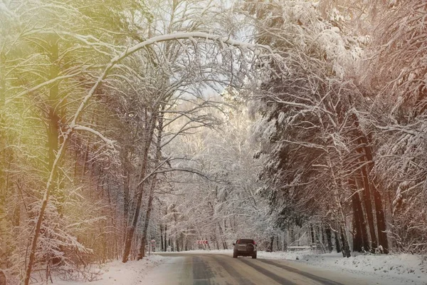 Strada Innevata Nella Foresta Invernale — Foto Stock