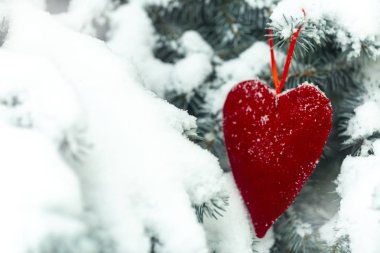karda ağaçta asılı kırmızı kalp