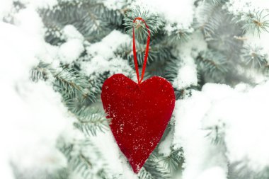 karda ağaçta asılı kırmızı kalp