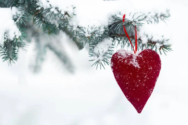red heart hanging on the tree in the snow
