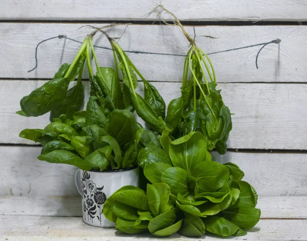 Verdure Coltivate Ecologicamente Pulite Diversi Tipi Lattuga Spinaci Rucola — Foto Stock