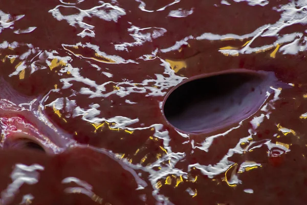 新鮮な牛の肝臓の部分のテクスチャ — ストック写真