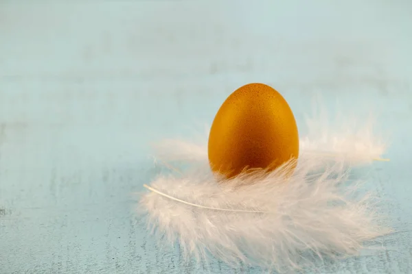 Ovos Páscoa Com Penas Brancas Fundo Madeira — Fotografia de Stock