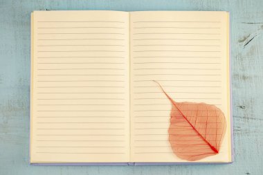 çizgili defter tarzı ve ince tasarımı kuru ile yazmak için yaprak, çiçek kurutulmuş