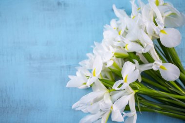 güzel bir buket turkuaz ahşap arka plan üzerinde beyaz süsen