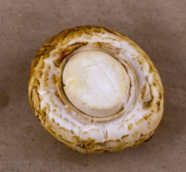 ham mantar mantar yakın çekim yemek önce retro yüzeyi