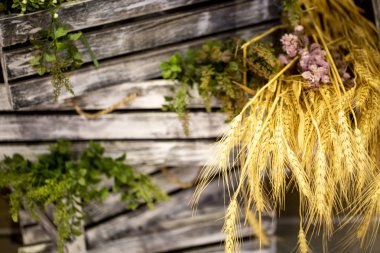eski gri kutu ve kulakları buğday doku
