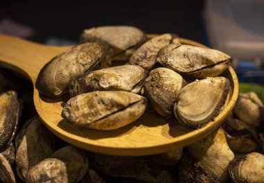 kabuklu deniz ürünleri, deniz kabuklarını gece gıda Tayland Pazar.