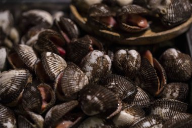 kabuklu deniz ürünleri, deniz kabuklarını gece gıda Tayland Pazar.