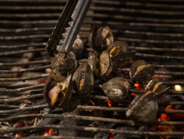 kabuklu deniz ürünleri, deniz kabuklarını gece gıda Tayland Pazar.