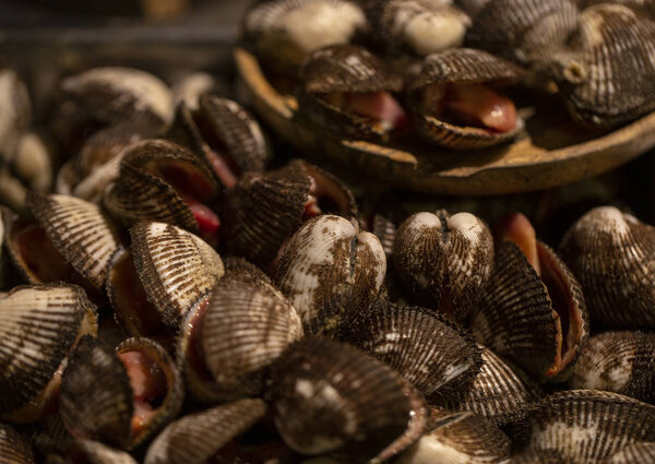 shellfish, seashells at night food market in Thailand