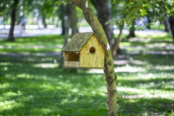 Yaz aylarında Park'ta kuş besleyici — Stok fotoğraf