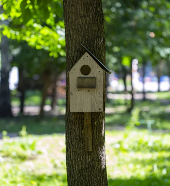 Yaz aylarında Park'ta kuş besleyici — Stok fotoğraf